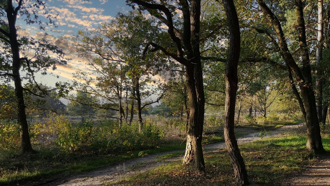 Fewo Grafschaft Nordhorn Kültér fotó