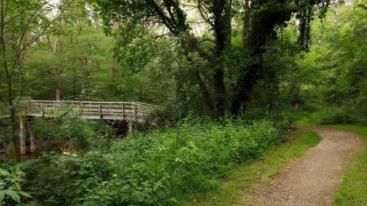 Fewo Grafschaft Nordhorn Kültér fotó